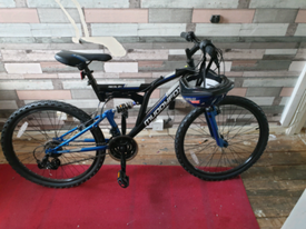 muddyfox colossus 500